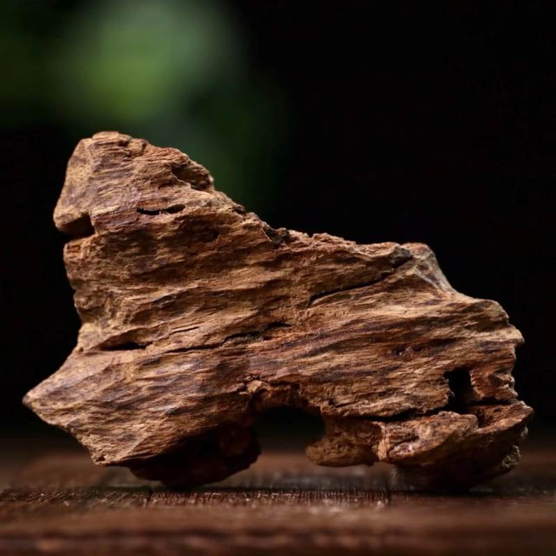 Agarwood
